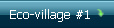 Eco-village #1